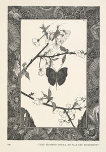 Der Schmetterling. Sie blühten heute, um morgen abzufallen. von Harry Clarke