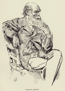 Charles Darwin von Harry Furniss