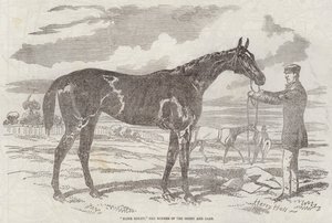 Blink Bonny, der Gewinner des Derbys und der Oaks von Harry Hall