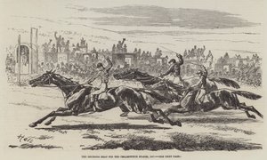 Das entscheidende Rennen für die Cesarewitch Stakes, 1857