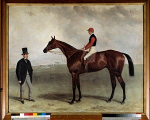 Das Rennpferd Gladiator im Jahr 1865