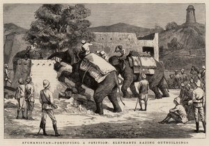 Afghanistan, Befestigung einer Position, Elefanten reißen Nebengebäude ab von Harry Hamilton Johnston