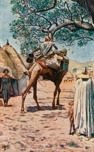 In Bornu von Harry Hamilton Johnston