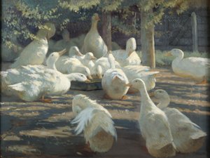 Sonnenlicht und Schatten von Harry Percy Clifford