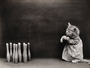 Kitties Serie: Bowling, ca. 1914