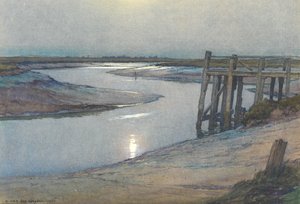 Mondlicht - Roggen