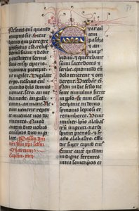 Evangelienbuch mit Evangelistenporträts: Verzierte Initiale von Hausbuch Master