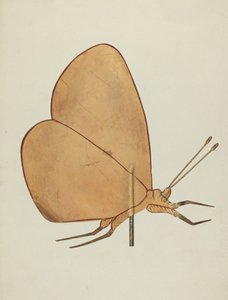 Schmetterlings-Wetterfahne, ca. 1938 von Hazel Hyde