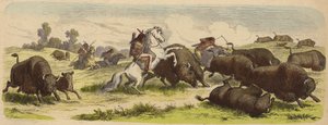 Indianer zu Pferd jagen Büffel (kolorierte Gravur) von Heinrich Leutemann