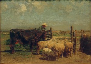 Am Schafpferch