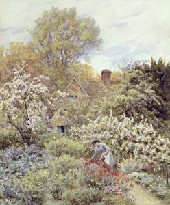 Ein Garten im Frühling