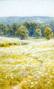 Wiesenmargeriten, nahe Westerham, Kent von Helen Allingham