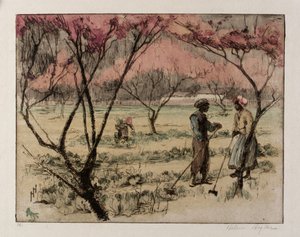 Ein südlicher Frühling von Helen Hyde