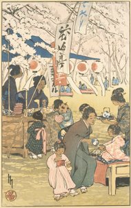 Blütezeit in Tokio