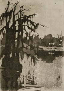 Zypressen von Helen Hyde