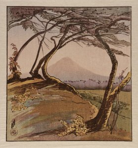 Berg Orizaba von Helen Hyde