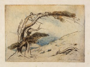 Überleben des Stärkeren von Helen Hyde