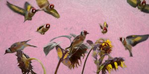 Charme in Pink, 2020 von Helen White