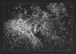 Frühlingsdachs von Helen White