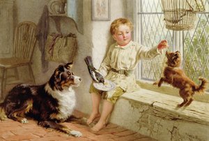 Freunde von Helena J. Maguire