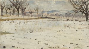 Bonn am Rhein. Winterlandschaft von Helmer Osslund