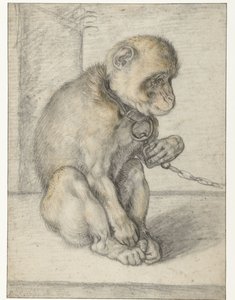 Sitzender Affe an einer Kette von Hendrick Goltzius