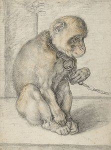 Ein sitzender Affe an einer Kette, 1592-1602 von Hendrik Goltzius