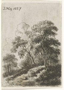 Bäume auf einem Hügel von Hendrik Jan Hein