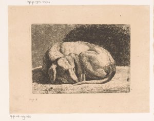 Schlafender Hund