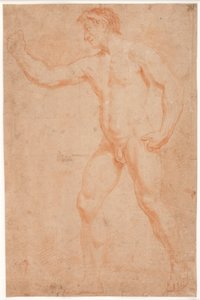 Männliches Modellstudie, stehend, mit erhobenem Arm von Hendrik Krock