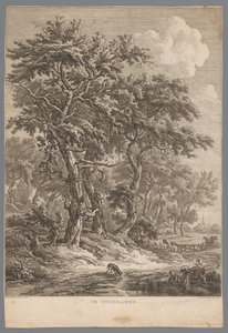 Landschaft bei Zuidlaren