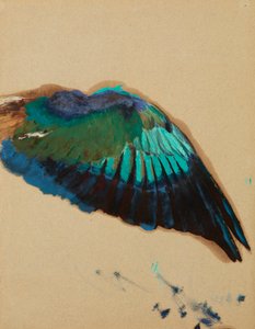 Studie eines Flügels, c.1899 von Henryk Siemiradzki