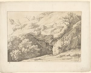 Felsen mit Sträuchern von Hendrik Voogd