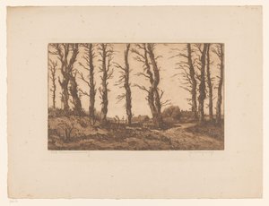 Oud Blaricummerweg von Hendrik Weegewijs (signed by artist)