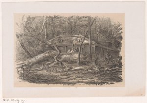 Umgestürzter Baum bei Buitenlust, nach dem Sturm vom 28. Mai 1860 Album von zehn lithographierten Skizzen, darstellend Szenen der Verwüstung, verursacht durch den Sturm vom 28. Mai 1860 im Haagse Bos von Hendrik Wilhelmus Last