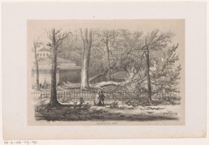 Umgestürzter Baum bei der Gesellschaft, nach dem Sturm vom 28. Mai 1860 von Hendrik Wilhelmus Last