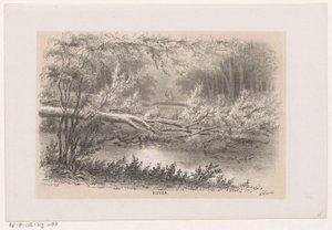Umgestürzter Baum nach dem Sturm vom 28. Mai 1860