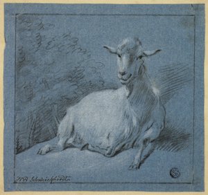 Ziege von Hendrik Willem Schweickhardt