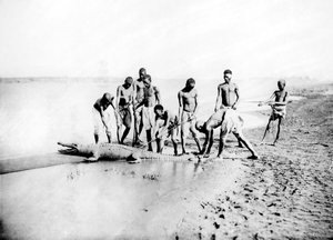 Krokodiljagd, Nubien, Ägypten, 1887 von Georges Henri Bechard