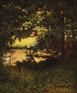 Ein Sommertag am Fluss von Henri Biva