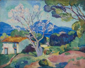 Mandelbaum in Blüte, 1907
