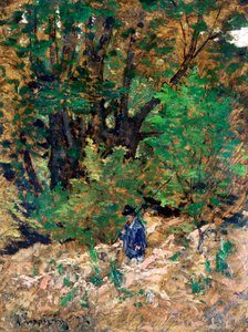 Zuhause im Wald