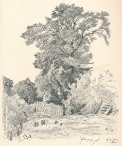 Studie von Bäumen, ca. 1839-1898, 1898