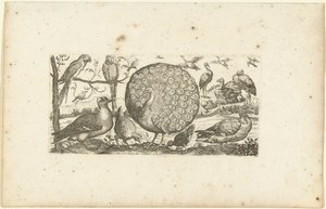 Achtzehn Vögel von Henri Le Roy