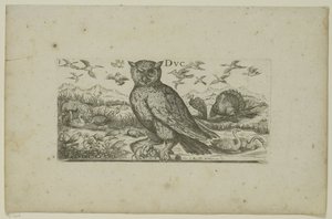 Eule und andere Vögel Vögel (Serientitel)