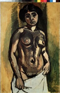 Akt. Schwarz und Gold von Henri Matisse