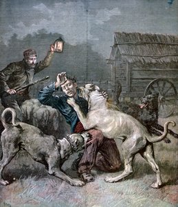Ein Verbrecher wird von drei großen Hunden angegriffen, 1891