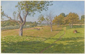 Felder in Auffay von Henri Rivière