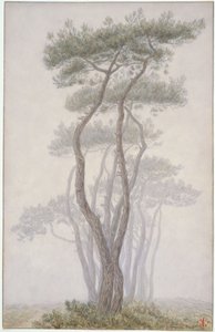 Loguivy, Bäume von Henri Rivière