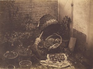 [Stillleben mit Strohkörben, Besen, geöffnetem Sack Kartoffeln und Topfpflanzen] von Henri Victor Regnault